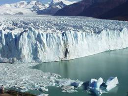 calafate1