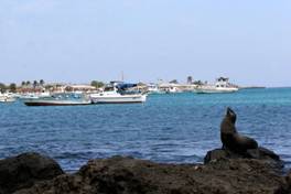 Getty Images - Islas Galápagos, Ecuador